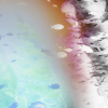 2019, archival digital inkjet print, dimensions variable