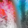 2019, archival digital inkjet print, dimensions variable